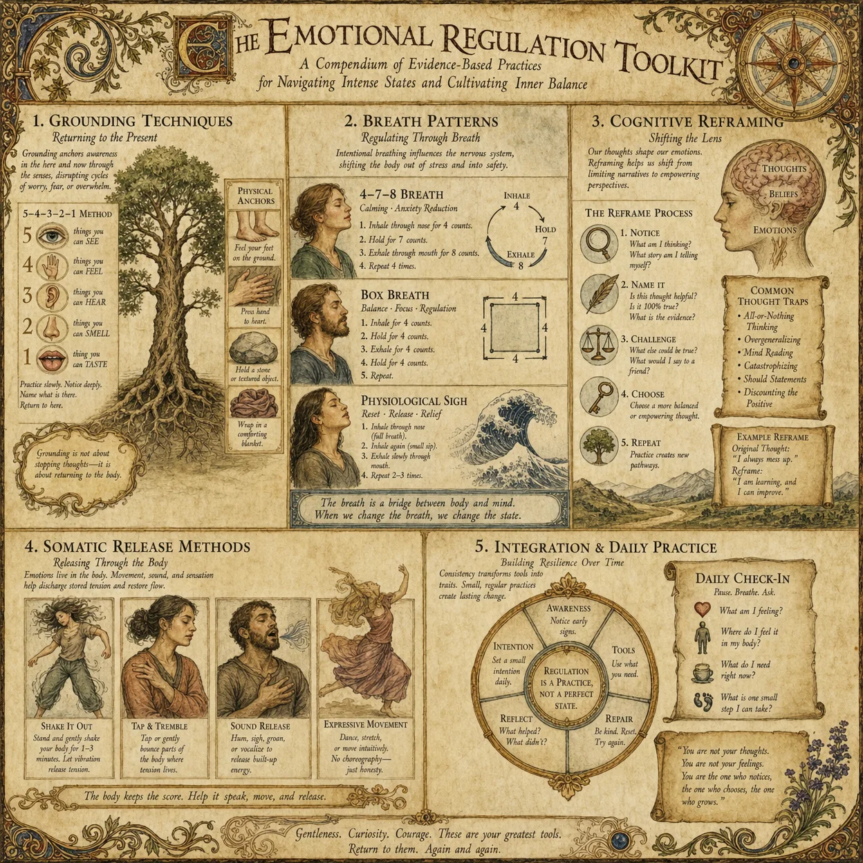 Emotional regulation toolkit: grounding techniques, breath p