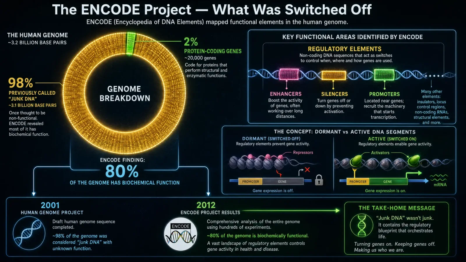 ENCODE Project — What Was Switched Off