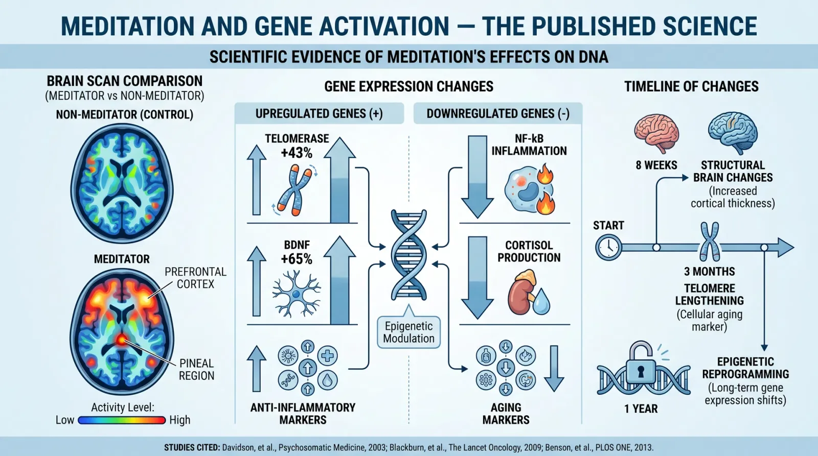 Meditation and Gene Expression