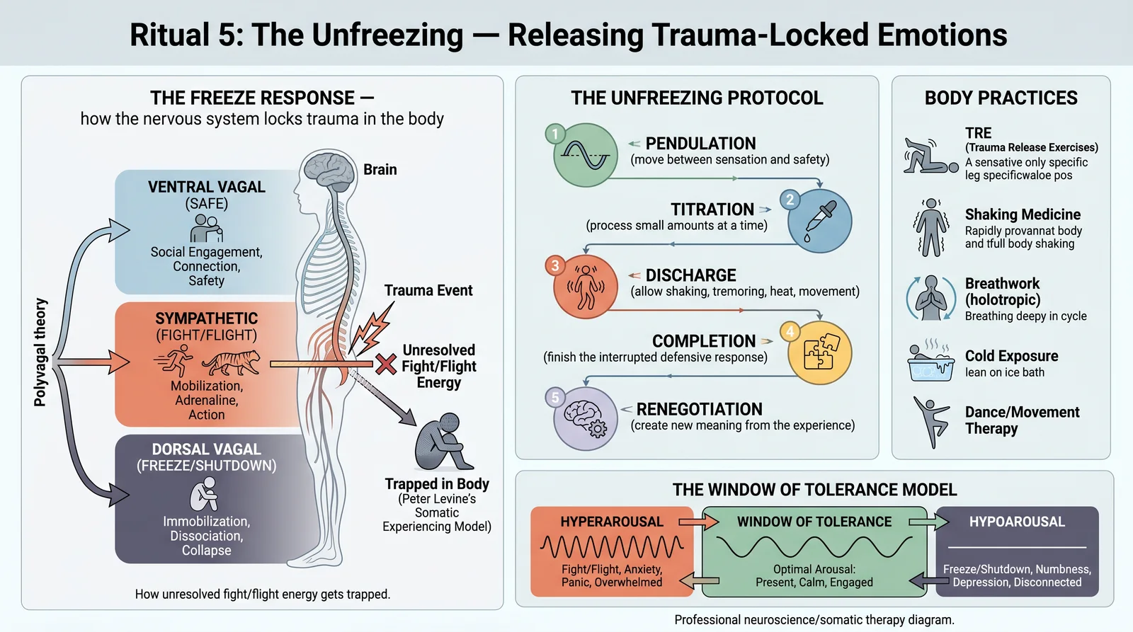 Ritual 5: The Unfreezing — Releasing Trauma-Locked Emotions