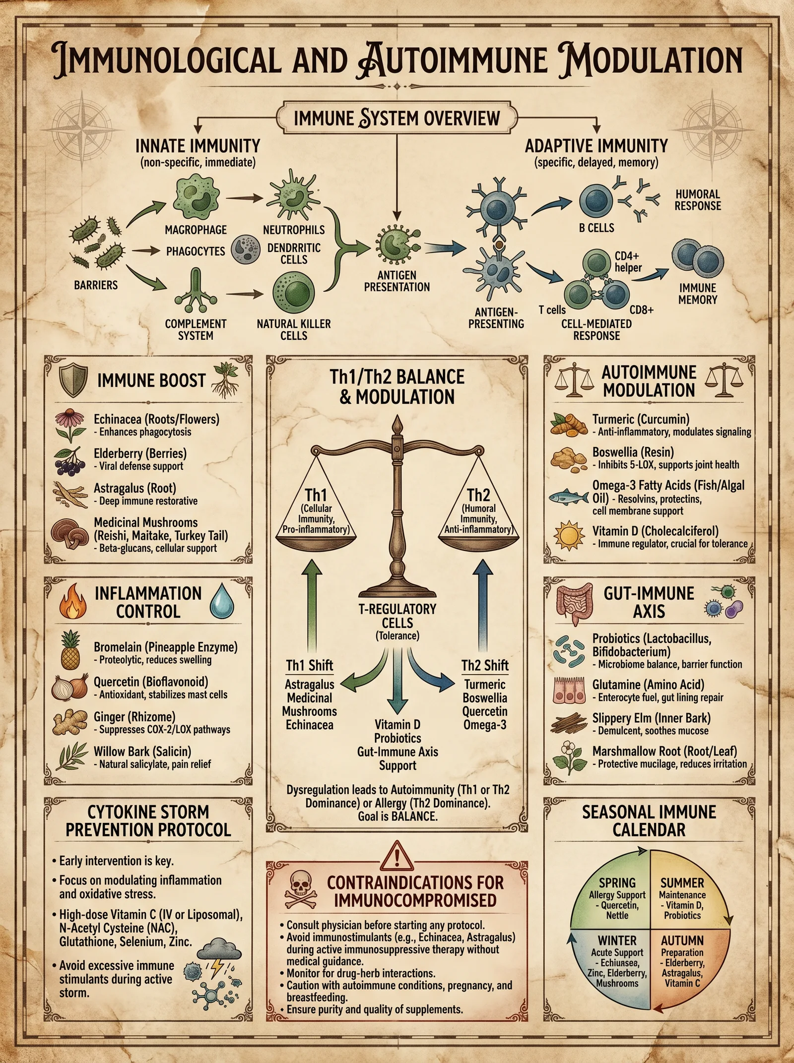 Immunological and Autoimmune Modulation