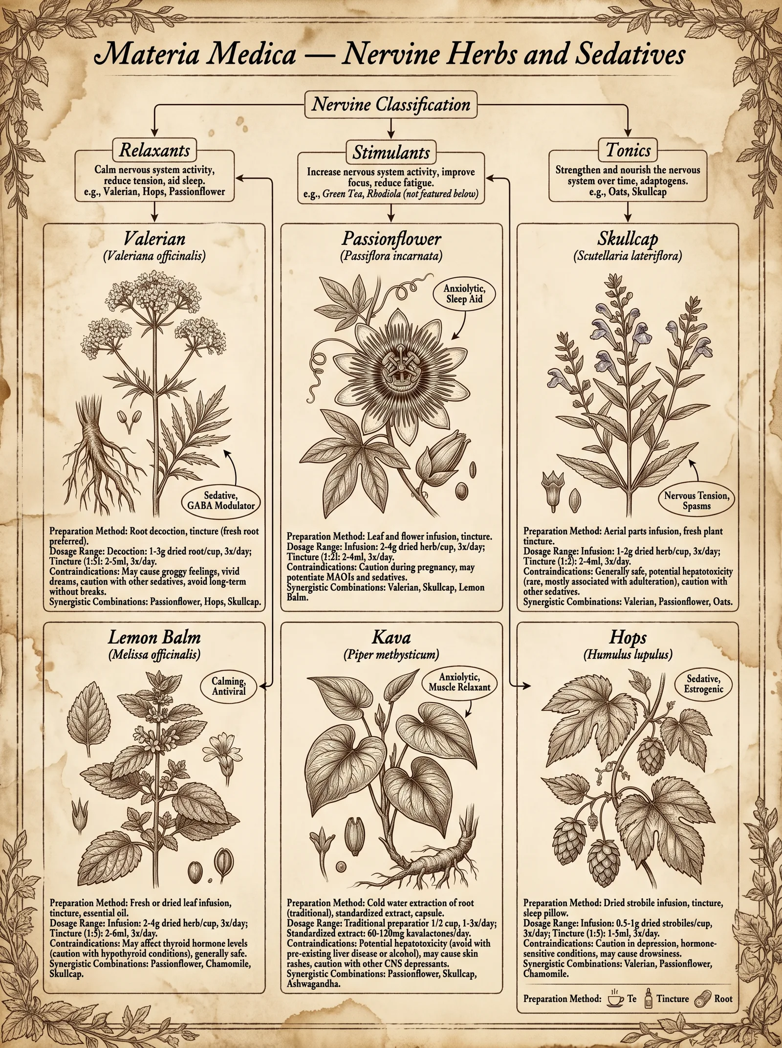 Nervine Herbs and Sedatives