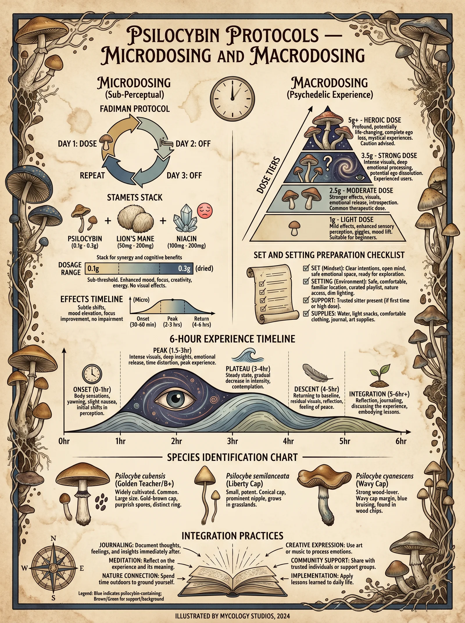 Psilocybin Protocols — Microdosing and Macrodosing