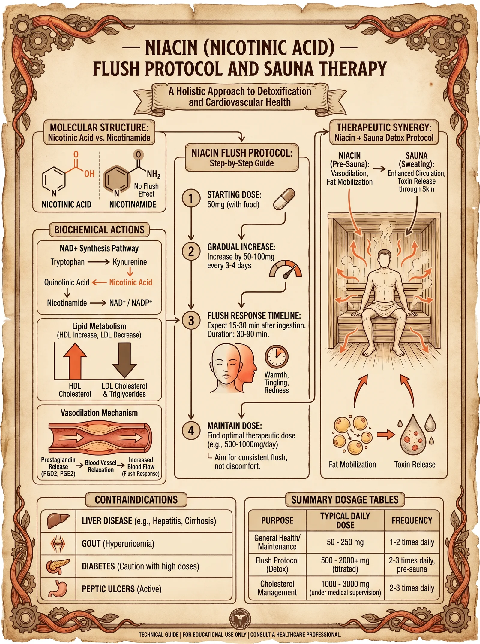 Niacin — Flush Protocol and NAD+ Pathway