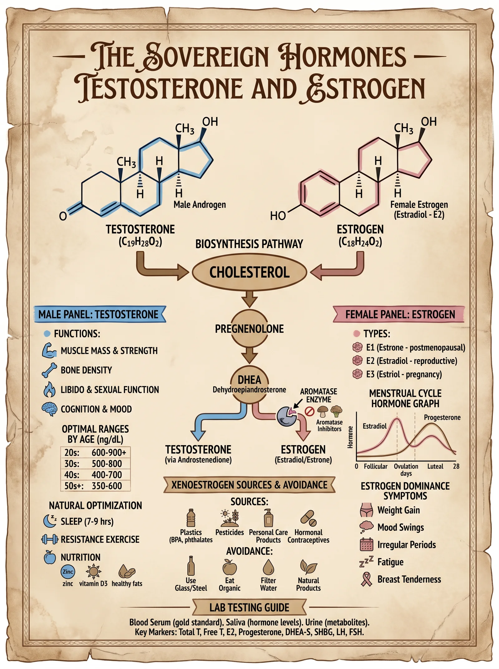 Testosterone and Estrogen Optimization
